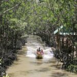 Can Gio Mangrove Biosphere Reserve Canoe & Wildlife Tour - Analyzing the Value