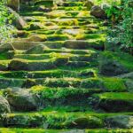 Can Gio Mangrove Forest, Thanh An Island, Vung Tau 2 Days Tour - Authentic Experiences and Insider Insights