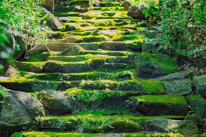 Can Gio Mangrove Forest, Thanh An Island, Vung Tau 2 Days Tour - Authentic Experiences and Insider Insights