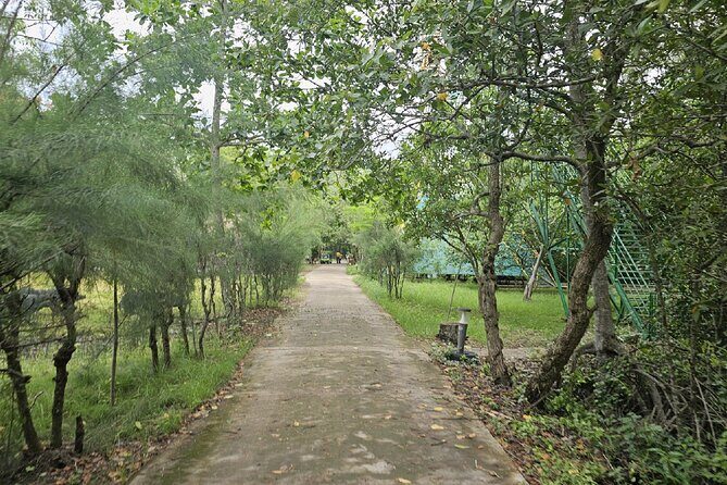 Can Gio Wildlife & Culture Experience  Scenic Boat Tour - Analyzing the Value