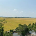 Can Tho: Explore Craft Village & Lung Ngoc Hoang Nature Reserve - An In-Depth Look at the Tour Experience