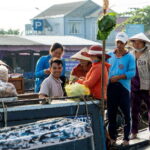 Can Tho: Explore Mekong, Floating Market, Cacao & Local Life - Why This Tour Delivers Great Value