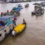 Can Tho: Mekong Tour, Floating Market, Cacao, & Wild Canals - Practical Details and Considerations