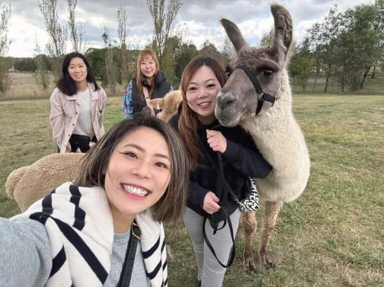 Canberra: Alpaca Adventure Farm Tour (morning tea included) - Practical Details and Tips