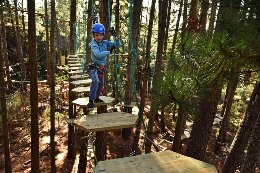 Canberra: Majura Pines Tree Ropes Course - Who Should Consider This Experience?