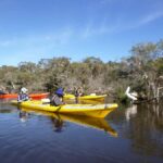 Canning River Half-Day Kayak Wildlife Tour - The Itinerary: A Closer Look