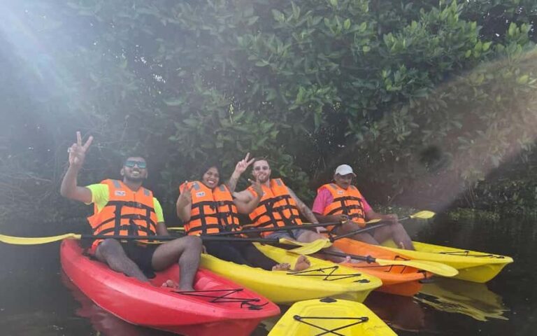 Canoe Ride through Mangroves in Kumbalangi From Cochin - Who Will Love This Tour?