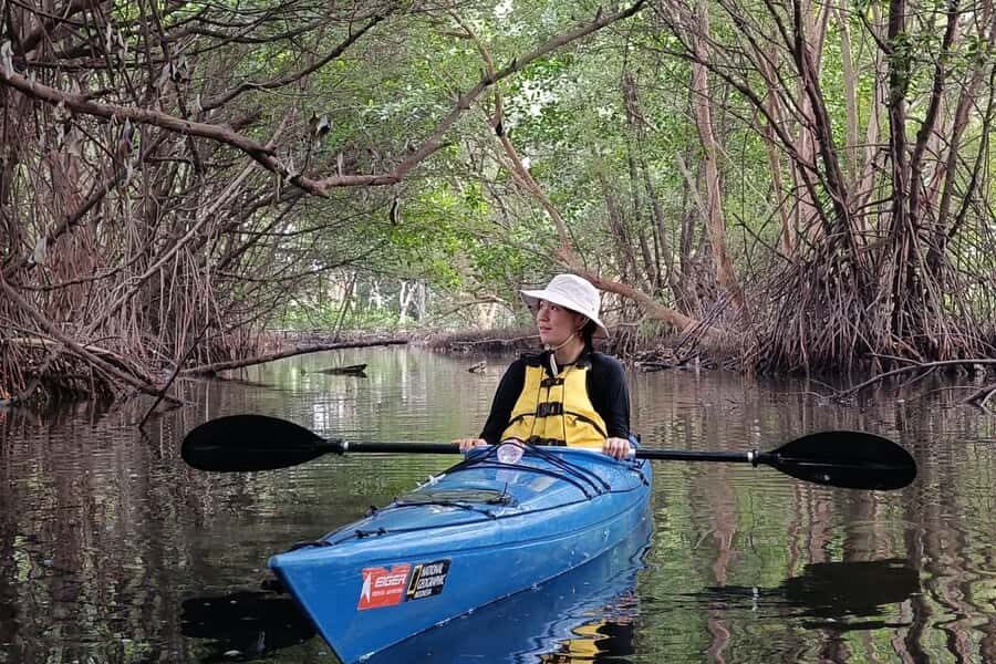 Canoeing Mangrove Experience in Jakarta - Why This Tour Stands Out