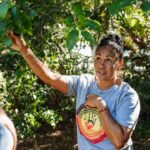 Cape Byron Aboriginal Tour - What to Expect During the Walk