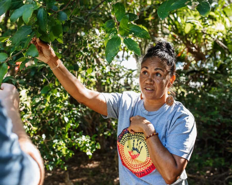 Cape Byron Aboriginal Tour - What to Expect During the Walk