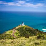 Cape Reinga: Day Trip from Paihia, Kerikeri, or Kaitaia - What Makes This Tour Stand Out?