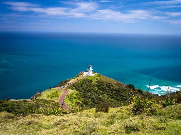 Cape Reinga: Day Trip from Paihia, Kerikeri, or Kaitaia - What Makes This Tour Stand Out?