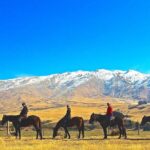 Cardrona High Country Pub Trail Horse Trek (Intermediate level+) - Value for Money and Practical Details