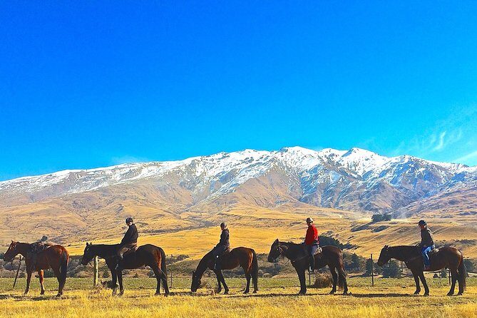 Cardrona High Country Pub Trail Horse Trek (Intermediate level+) - Value for Money and Practical Details