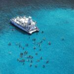 Caribbean Paradise Catamaran - What We Love About the Caribbean Paradise Catamaran Tour
