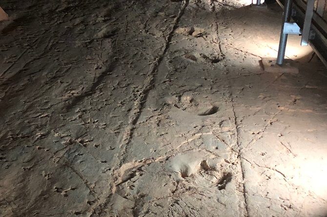 Carisbrooke Station and Dinosaur Stampede Day Tour from Winton - An In-Depth Look at the Tour Experience