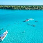 Carnevial Shore Excursion: Saona Island with Speedboat Ride - Practical Details and Tips