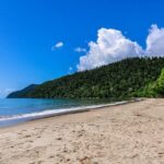 Cassowary Coast Goondoi Culture Tour - Who Would Love This Tour?