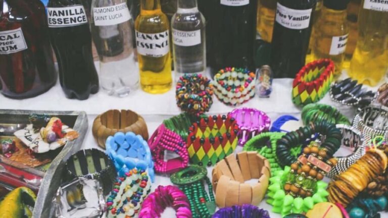 Castries: Guided City Architecture and Castries Market Tour - Who Will Enjoy This Tour?