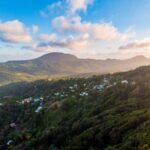 Castries St Lucia: Guided Rainforest Hike  Jacquot Trail - Why This Tour Matters