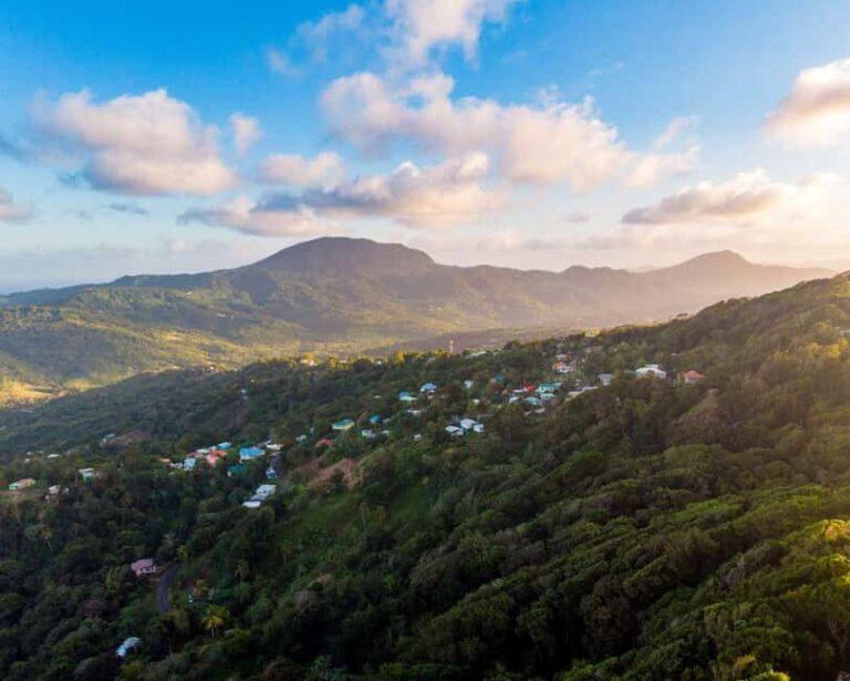 Castries St Lucia: Guided Rainforest Hike  Jacquot Trail - Why This Tour Matters