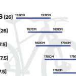 Cat Ba Bike Rental - In-Depth Tour Breakdown