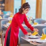 Cat Ba island - Full Day Lan Ha Bay Luxury Cruise - Lunch and Onboard Comforts