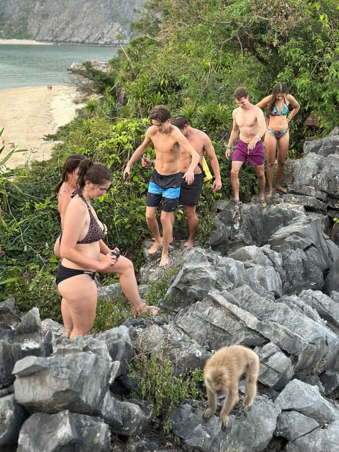 Cat Ba : Lan Ha Bay Boat Tour , Monkey Island and Sunset - Why This Tour Stands Out