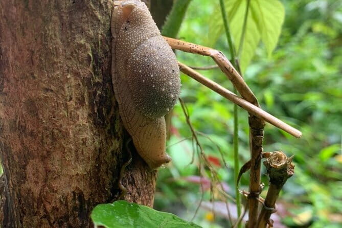 Cat Ba National Park Full Day Trekking Tour to Viet Hai Village - Authentic Experiences with a Personal Touch