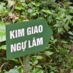 Cat Ba National Park: Secret Jungle Trek & Hidden Caves - Exploring Cat Ba National Park: Whats Included and Whats Not