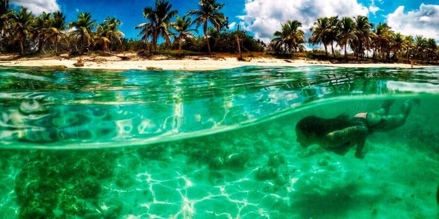 Catalina Island and Snorkeling Tour - Who Will Love This Tour?