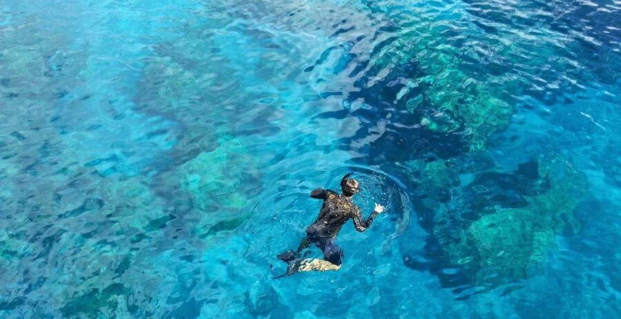 Catalina Island Catamaran Cruise with Lunch from Bayahibe - Final Thoughts: Is It Worth It?