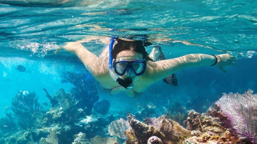 Catalina Island, even more pristine than Saona - The Itinerary in Detail