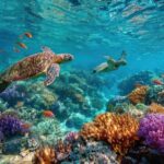 Catalina Island Even more unspoilt than Saona - Is the Price Justified?