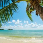 Catalina Island even more unspoilt than Saona Island - Value for Money & Practical Tips