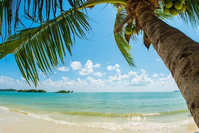 Catalina Island even more unspoilt than Saona Island - Value for Money & Practical Tips