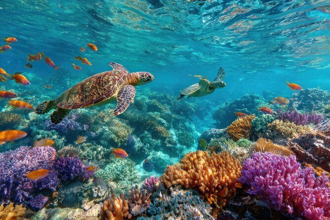 Catalina Island Even more unspoilt than Saona - Is the Price Justified?