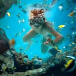 Catalina Island Full-Day Snorkeling + Lunch from Punta Cana - Practical Details and Tips for Travelers
