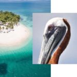 Catalina Island snorkeling Dominican Republic - Transportation and Duration