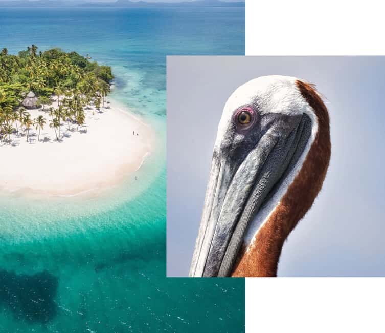 Catalina Island snorkeling Dominican Republic - Transportation and Duration