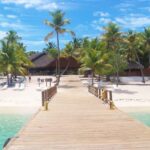 Catalina Island Tour with Snorkelling and Lunch - Practical Considerations