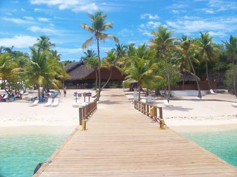 Catalina Island Tour with Snorkelling and Lunch - Practical Considerations