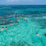 Catamaran and Snorkeling Party with Drink Included in Punta Cana - The Drinks and Snacks