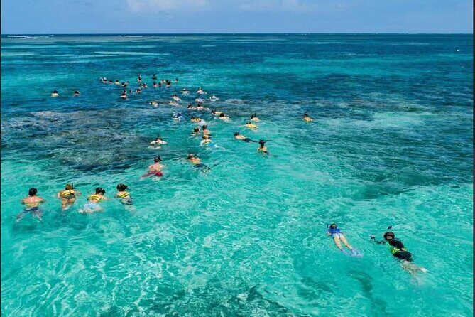 Catamaran and Snorkeling Party with Drink Included in Punta Cana - The Drinks and Snacks