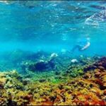 Catamaran Cruise with Dunns River Falls from Montego Bay - Practical Details and Why They Matter