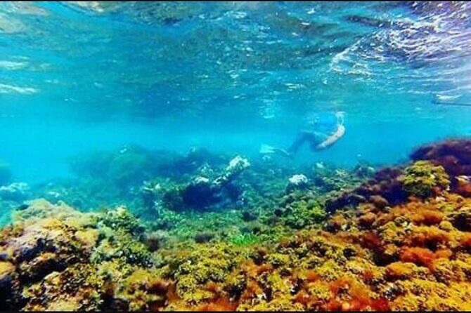 Catamaran Cruise with Dunns River Falls from Montego Bay - Practical Details and Why They Matter