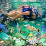 Catamaran Party in Punta Cana Includes Drink and Transportation - The Experience in Detail