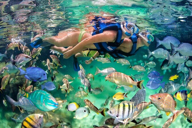 Catamaran Party in Punta Cana Includes Drink and Transportation - The Experience in Detail