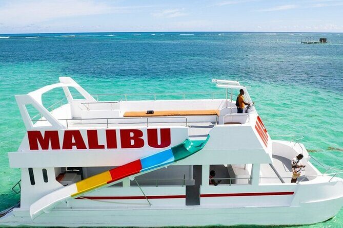 Catamaran Party Snorkeling and Barra Libre from Punta Cana - Who Is This Tour Best For?