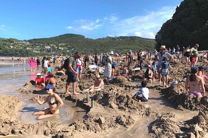 Cathedral Cove and Hot Water Beach Private Tour - What’s Included and What’s Not